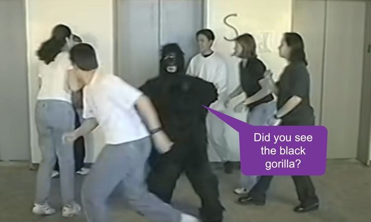 Selective Attention Test Gorilla Scene