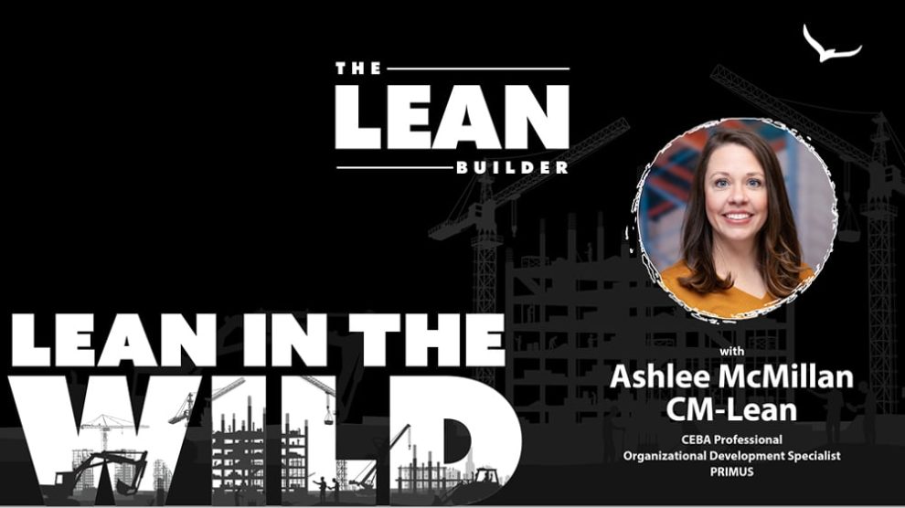 pull-plan-sessions-ashlee-mcmillan The Hidden Value of Pull Plan Sessions